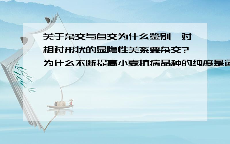 关于杂交与自交为什么鉴别一对相对形状的显隐性关系要杂交?为什么不断提高小麦抗病品种的纯度是运用了自交?我弄不懂什么时候是自交什么时候是杂交!