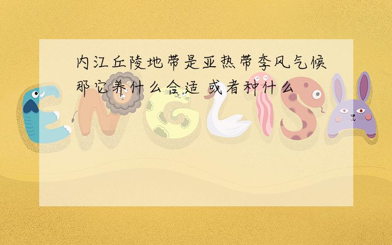 内江丘陵地带是亚热带季风气候那它养什么合适 或者种什么