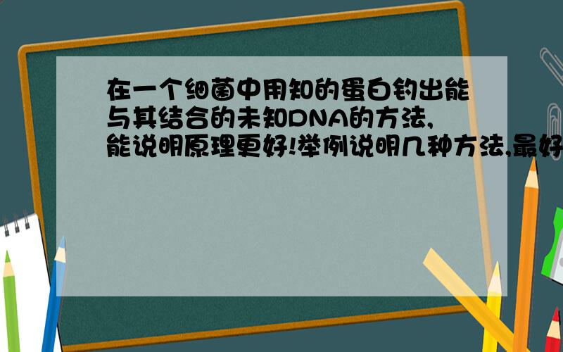 在一个细菌中用知的蛋白钓出能与其结合的未知DNA的方法,能说明原理更好!举例说明几种方法,最好能说出各自的优缺点.