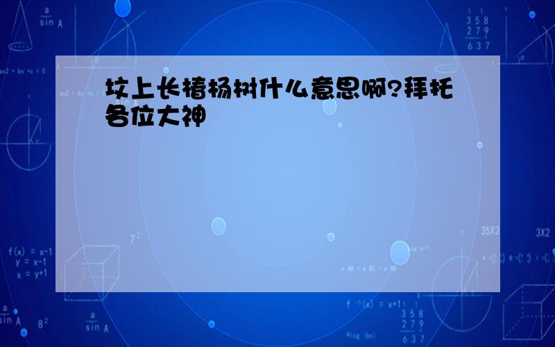 坟上长椿杨树什么意思啊?拜托各位大神