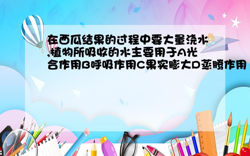 在西瓜结果的过程中要大量浇水,植物所吸收的水主要用于A光合作用B呼吸作用C果实膨大D蒸腾作用         急!