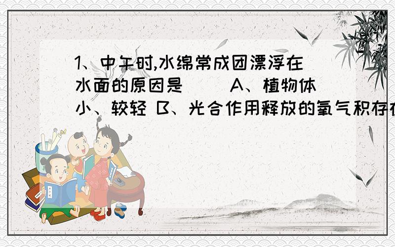 1、中午时,水绵常成团漂浮在水面的原因是（ ）A、植物体小、较轻 B、光合作用释放的氧气积存在一起 C、呼吸作用释放的二氧化碳积存在一起 D、吸收了大量的二氧化碳