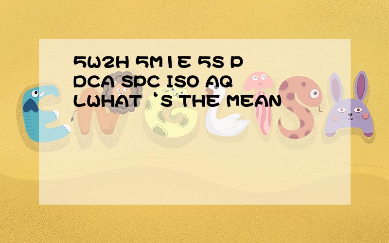 5W2H 5M1E 5S PDCA SPC ISO AQLWHAT‘S THE MEAN