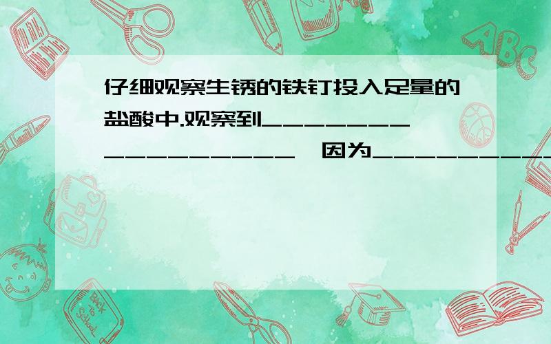 仔细观察生锈的铁钉投入足量的盐酸中.观察到________________,因为________________（方程式）还观察到仔细观察生锈的铁钉投入足量的盐酸中.观察到________________,因为________________（方程式）一段