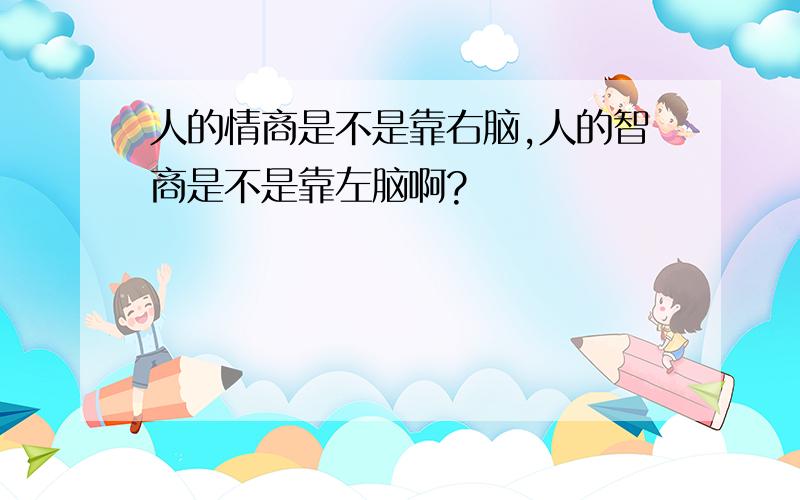 人的情商是不是靠右脑,人的智商是不是靠左脑啊?