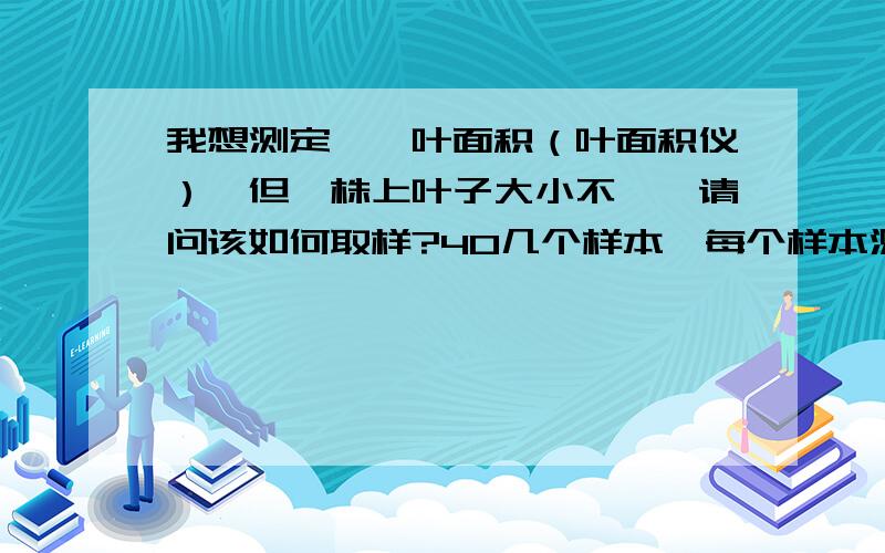 我想测定苜蓿叶面积（叶面积仪）,但一株上叶子大小不一,请问该如何取样?40几个样本,每个样本测五个单株,每个单株我想测10片复叶,导师就交代选有代表性的叶子进行测量,整株叶子大小差