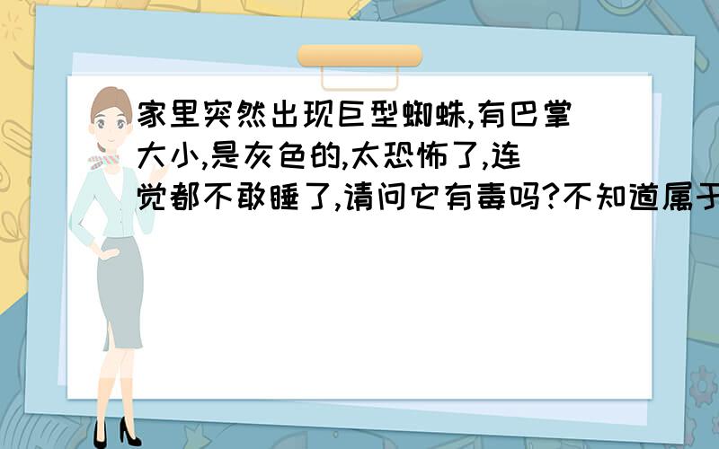 家里突然出现巨型蜘蛛,有巴掌大小,是灰色的,太恐怖了,连觉都不敢睡了,请问它有毒吗?不知道属于什么品种?有毒吗?蜘蛛怕什么?