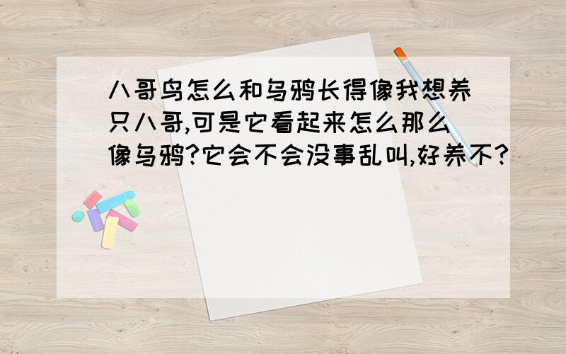 八哥鸟怎么和乌鸦长得像我想养只八哥,可是它看起来怎么那么像乌鸦?它会不会没事乱叫,好养不?