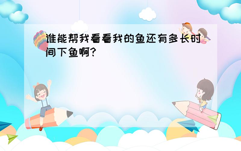 谁能帮我看看我的鱼还有多长时间下鱼啊?