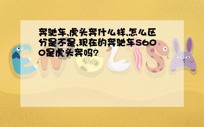 奔驰车,虎头奔什么样,怎么区分是不是,现在的奔驰车S600是虎头奔吗?