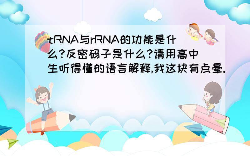 tRNA与rRNA的功能是什么?反密码子是什么?请用高中生听得懂的语言解释,我这块有点晕.