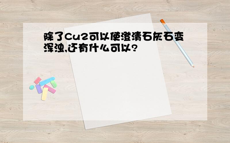 除了Cu2可以使澄清石灰石变浑浊,还有什么可以?