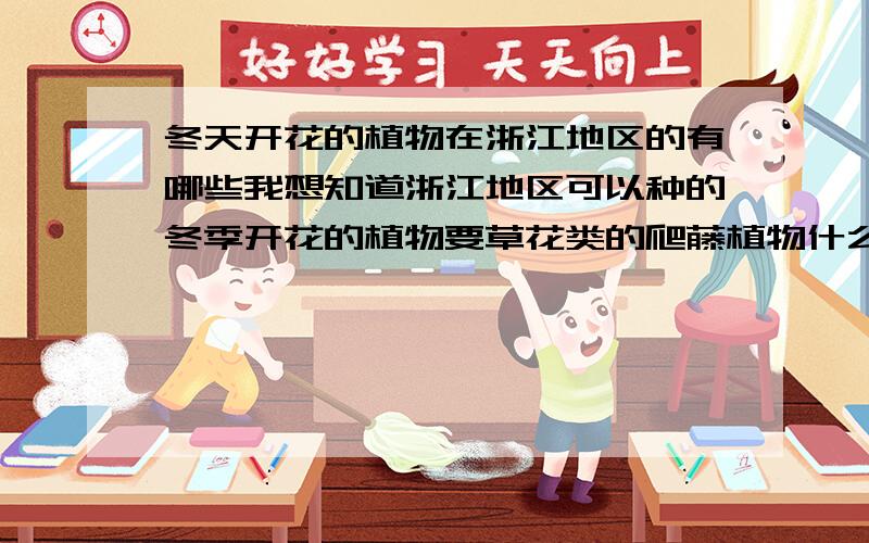 冬天开花的植物在浙江地区的有哪些我想知道浙江地区可以种的冬季开花的植物要草花类的爬藤植物什么的花期在10月到明年4月的