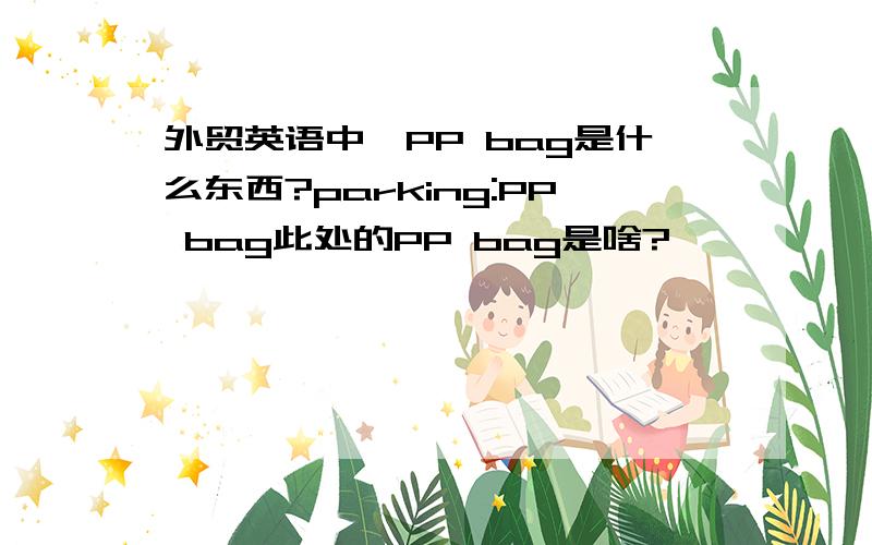 外贸英语中,PP bag是什么东西?parking:PP bag此处的PP bag是啥?