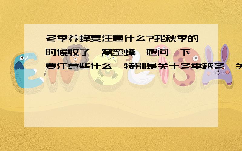 冬季养蜂要注意什么?我秋季的时候收了一窝蜜蜂,想问一下,要注意些什么,特别是关于冬季越冬,关于蜂箱的要求!