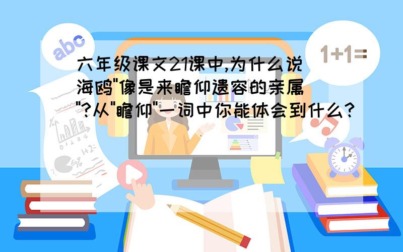 六年级课文21课中,为什么说海鸥''像是来瞻仰遗容的亲属''?从''瞻仰''一词中你能体会到什么?