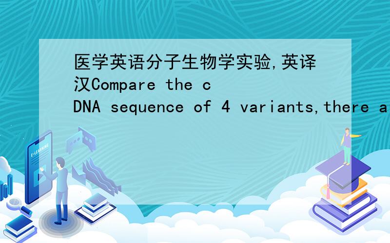 医学英语分子生物学实验,英译汉Compare the cDNA sequence of 4 variants,there are only differences between exon3 and exon7,thus design specific primer for these two exons could differentiate 4 variants.1.total RNA extraction2.RT-PCR:primer