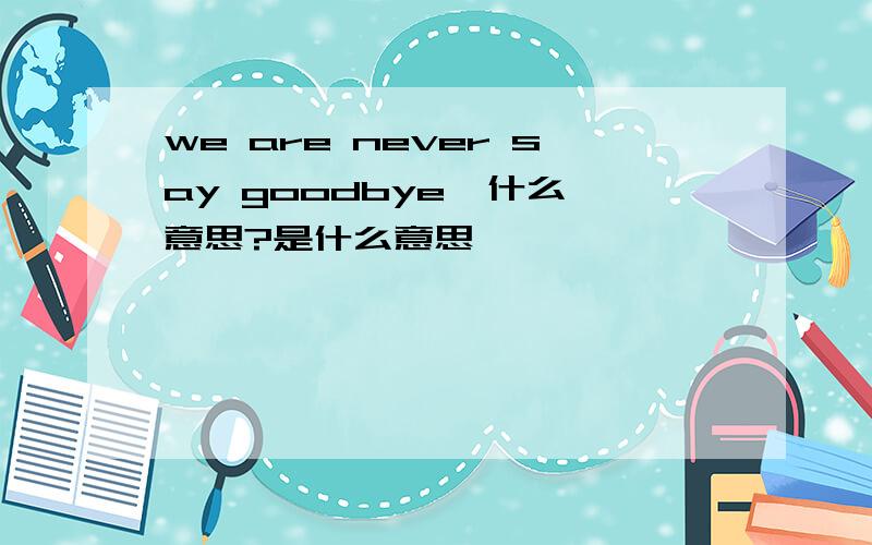 we are never say goodbye  什么意思?是什么意思