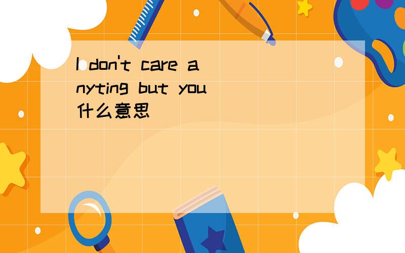 I don't care anyting but you什么意思