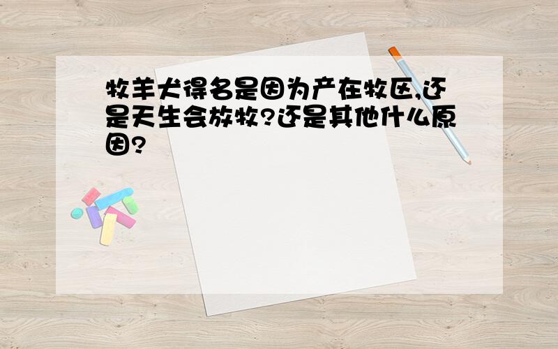 牧羊犬得名是因为产在牧区,还是天生会放牧?还是其他什么原因?