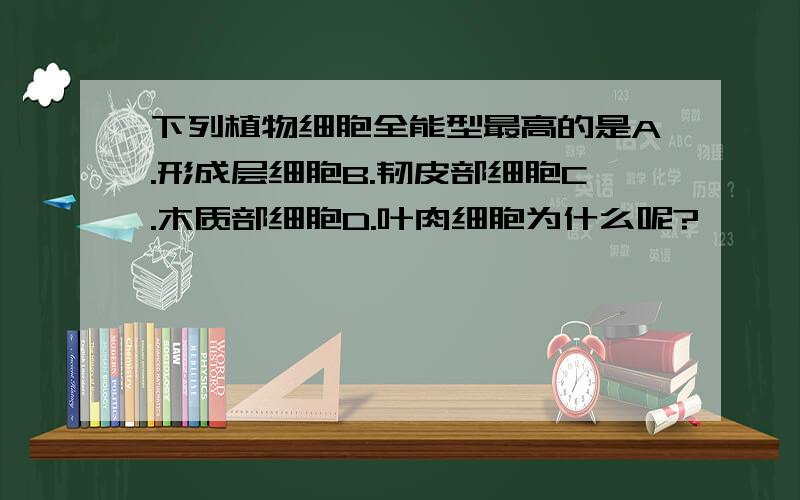 下列植物细胞全能型最高的是A.形成层细胞B.韧皮部细胞C.木质部细胞D.叶肉细胞为什么呢?