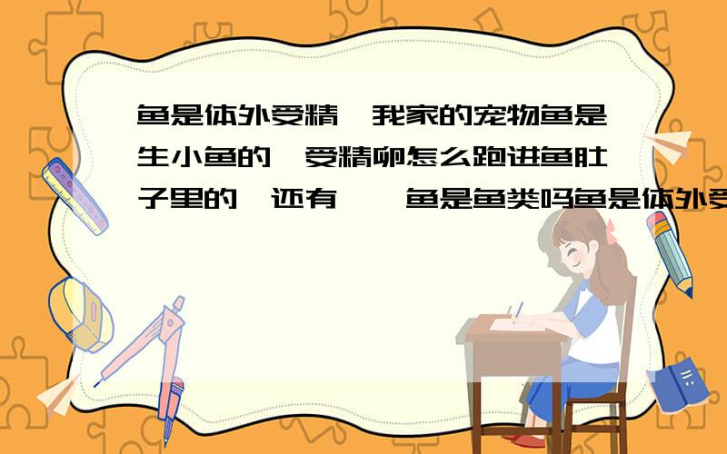 鱼是体外受精,我家的宠物鱼是生小鱼的,受精卵怎么跑进鱼肚子里的,还有,鲨鱼是鱼类吗鱼是体外受精,为什么我家的宠物鱼是生小鱼的,受精卵怎么跑进鱼肚子里的,还有,鲨鱼是鱼类吗