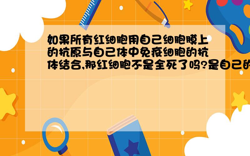 如果所有红细胞用自己细胞膜上的抗原与自己体中免疫细胞的抗体结合,那红细胞不是全死了吗?是自己的免疫细胞不与自己的红细胞凝聚,只和异己的红细胞排斥而凝聚吗?为什么不是红细胞和