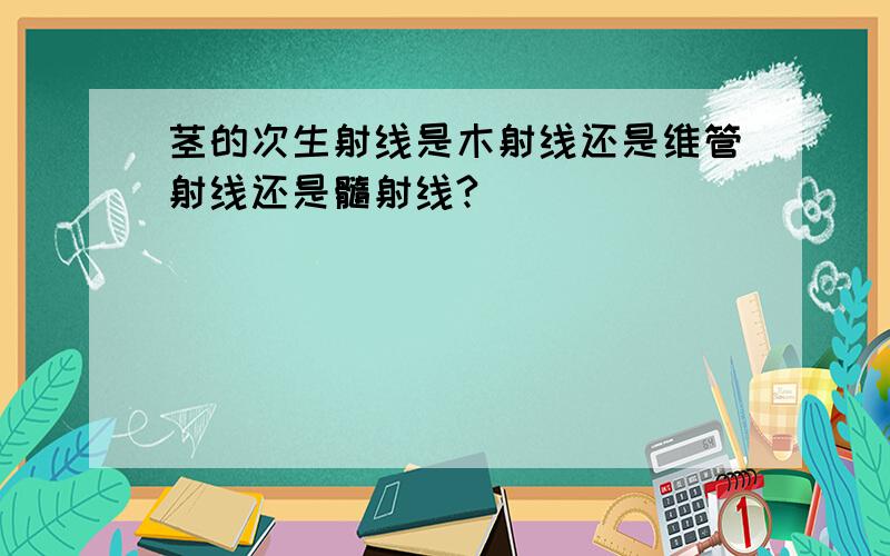 茎的次生射线是木射线还是维管射线还是髓射线?