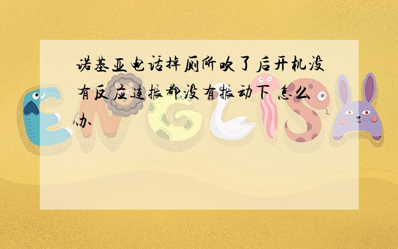 诺基亚电话掉厕所吹了后开机没有反应连振都没有振动下 怎么办