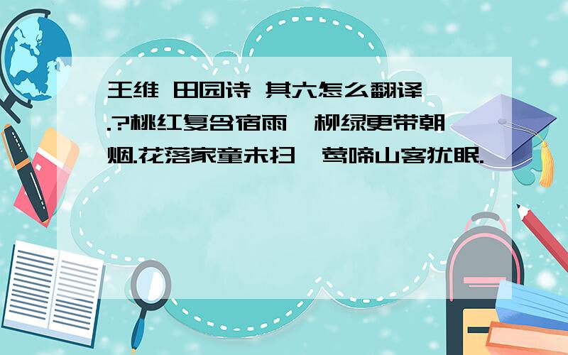 王维 田园诗 其六怎么翻译 .?桃红复含宿雨,柳绿更带朝烟.花落家童未扫,莺啼山客犹眠.