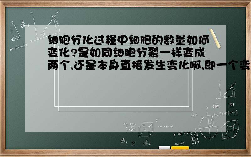 细胞分化过程中细胞的数量如何变化?是如同细胞分裂一样变成两个,还是本身直接发生变化啊,即一个变成另一个