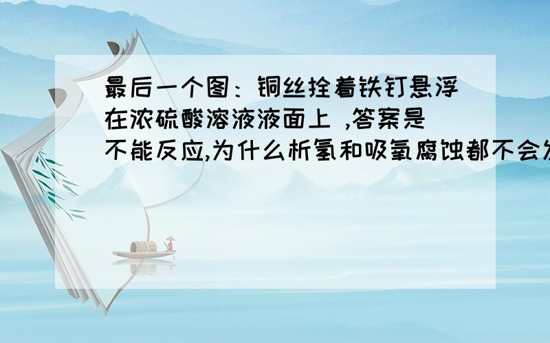 最后一个图：铜丝拴着铁钉悬浮在浓硫酸溶液液面上 ,答案是不能反应,为什么析氢和吸氧腐蚀都不会发生