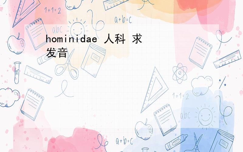 hominidae 人科 求发音