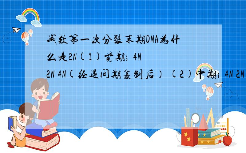 减数第一次分裂末期DNA为什么是2N(1)前期; 4N 2N 4N(经过间期复制后） (2)中期; 4N 2N 4N (3)后期; 4N 2N 4N (4)末期; 2N N 2N 课本 好像没说啊 还有那个曲线分析 还有减数第二次 末期染色体怎么从 4N 到