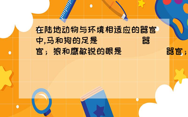 在陆地动物与环境相适应的器官中,马和狗的足是_____器官；狼和鹰敏锐的眼是_____器官；蝗虫的气管和猪的肺是_____器官；