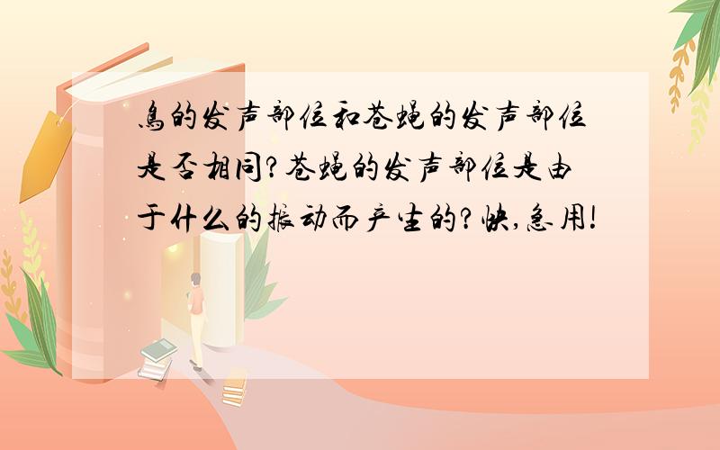 鸟的发声部位和苍蝇的发声部位是否相同?苍蝇的发声部位是由于什么的振动而产生的?快,急用!