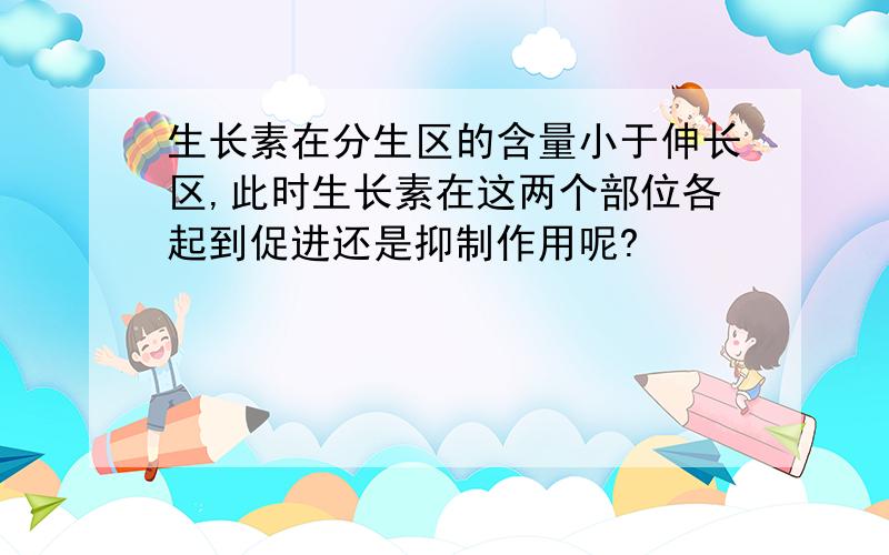 生长素在分生区的含量小于伸长区,此时生长素在这两个部位各起到促进还是抑制作用呢?