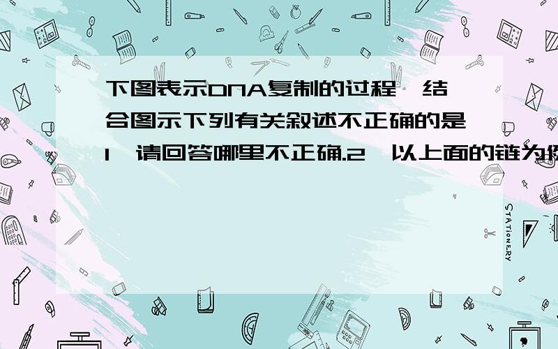 下图表示DNA复制的过程,结合图示下列有关叙述不正确的是1、请回答哪里不正确.2、以上面的链为例,中间那个起点处所标明的“起点”是什么意思?为什么随后链是2条线、3条线、4条线然后再