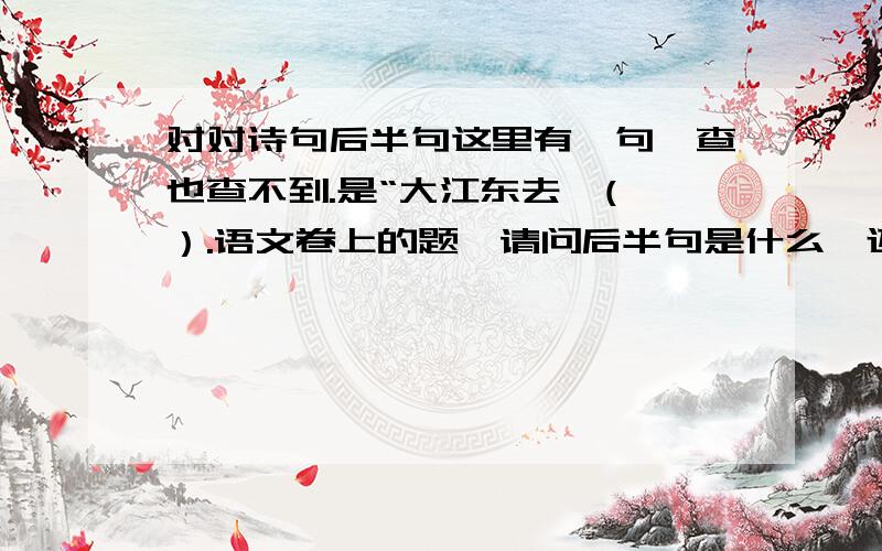 对对诗句后半句这里有一句,查也查不到.是“大江东去,( ）.语文卷上的题,请问后半句是什么,还有这首诗的作者是谁.