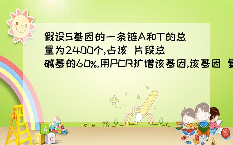 假设S基因的一条链A和T的总量为2400个,占该 片段总碱基的60%,用PCR扩增该基因,该基因 复制n次共要dGTP几个