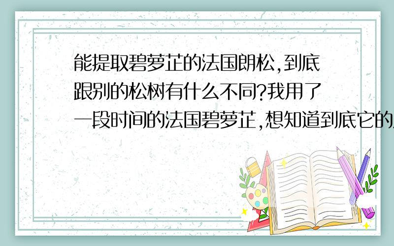 能提取碧萝芷的法国朗松,到底跟别的松树有什么不同?我用了一段时间的法国碧萝芷,想知道到底它的原材料到底有什么与众不同呢?