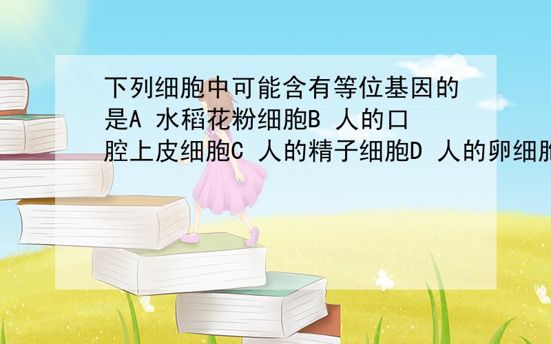 下列细胞中可能含有等位基因的是A 水稻花粉细胞B 人的口腔上皮细胞C 人的精子细胞D 人的卵细胞