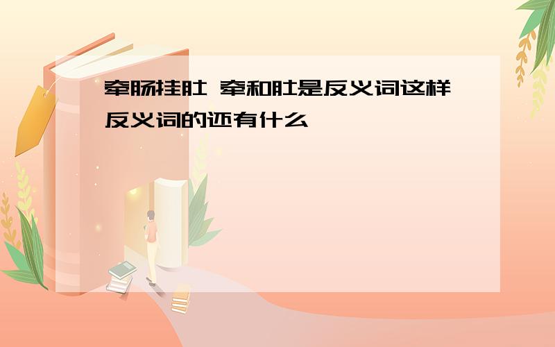 牵肠挂肚 牵和肚是反义词这样反义词的还有什么