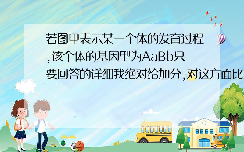 若图甲表示某一个体的发育过程,该个体的基因型为AaBb只要回答的详细我绝对给加分,对这方面比较疑惑.原题是AaBb个体