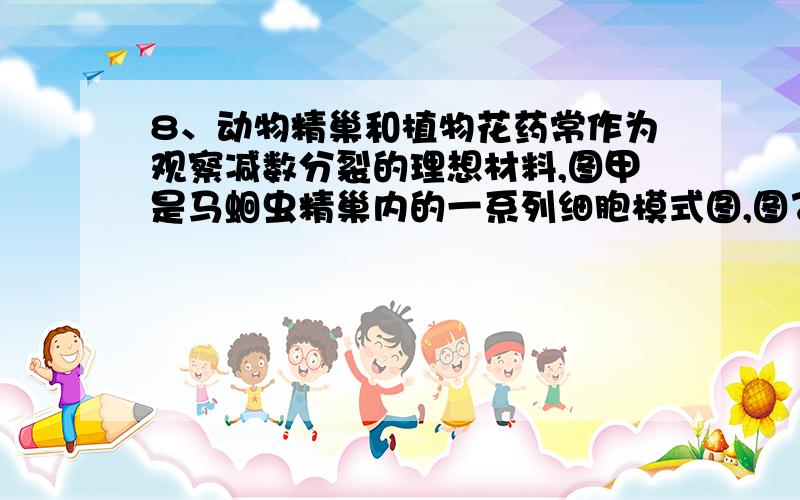 8、动物精巢和植物花药常作为观察减数分裂的理想材料,图甲是马蛔虫精巢内的一系列细胞模式图,图乙是细胞分裂时染色体数量的变化情况,观察并回答下列问题：（1）甲图中属于次级精母