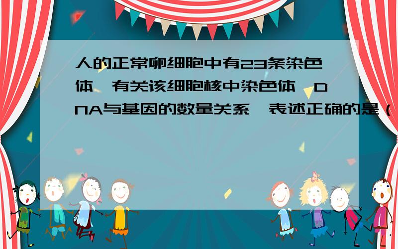 人的正常卵细胞中有23条染色体,有关该细胞核中染色体、DNA与基因的数量关系,表述正确的是（ ）A．染色体＞DNA＞基因B．染色体＜DNA＜基因C．染色体=DNA＜基因D．染色体=DNA＞基因