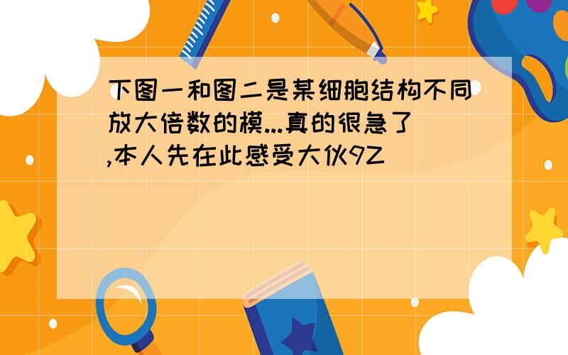 下图一和图二是某细胞结构不同放大倍数的模...真的很急了,本人先在此感受大伙9Z