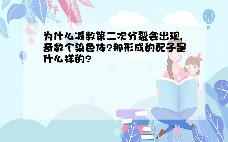 为什么减数第二次分裂会出现,奇数个染色体?那形成的配子是什么样的?