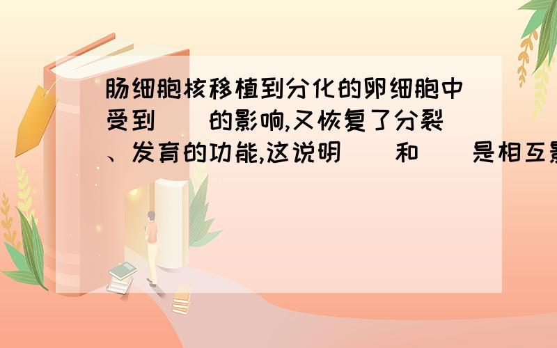 肠细胞核移植到分化的卵细胞中受到()的影响,又恢复了分裂、发育的功能,这说明（）和（）是相互影响的