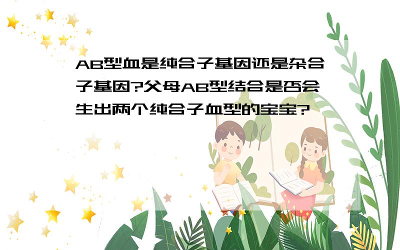 AB型血是纯合子基因还是杂合子基因?父母AB型结合是否会生出两个纯合子血型的宝宝?